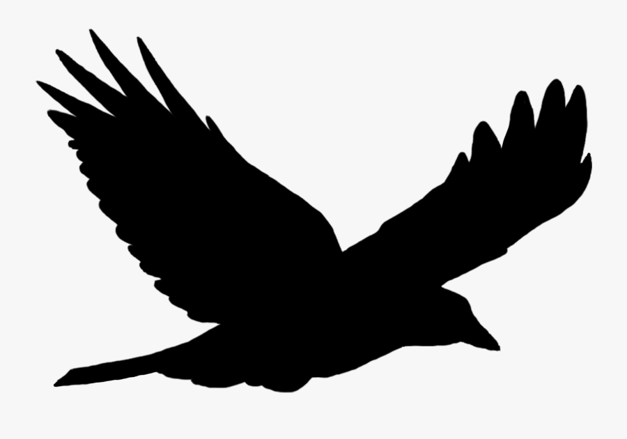 Turkey Vulture Silhouette At Getdrawings - Flying Bird Silhouette Png, Transparent Clipart