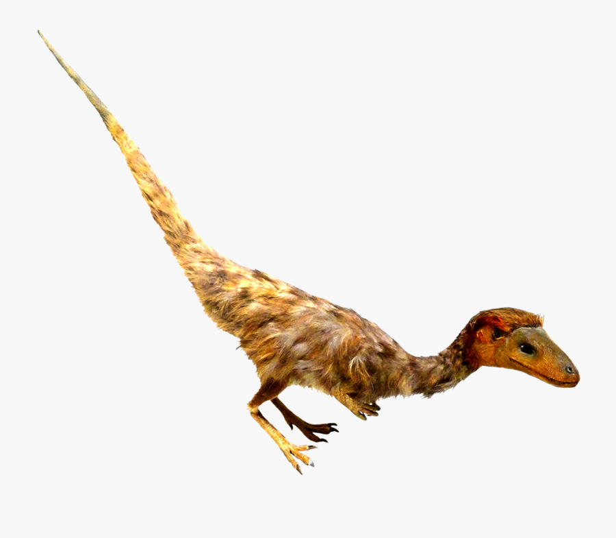 Psinosauropteryx Feathered Dino Clipart - Real Dinosaur Transparent Clipart, Transparent Clipart
