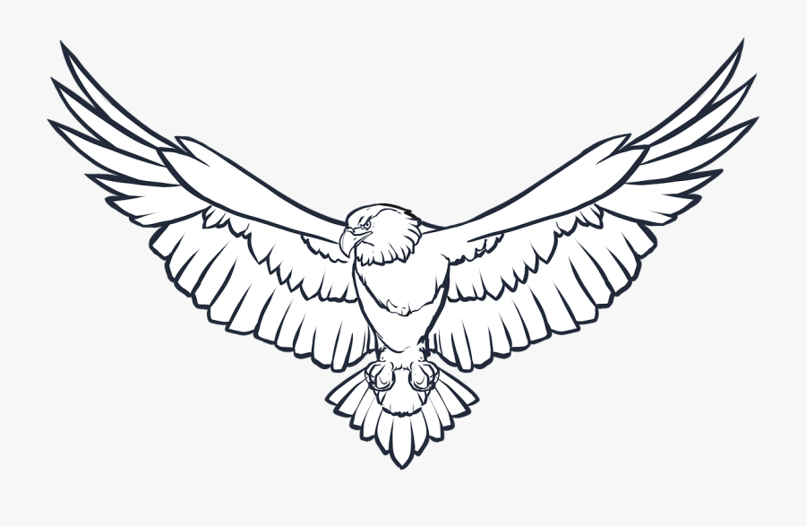 Eagle Wings Png Photo - Flying Eagle Clipart Black And White, Transparent Clipart