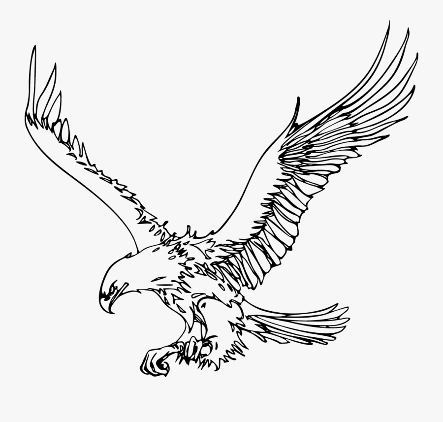 Flying Eagle Outline Clipart - Outline Images Of Eagle, Transparent Clipart