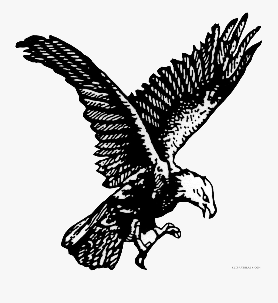 Eagle Black And White Animal Free Clipart Images Clipartblack - Drawing Black And White Eagle Clipart, Transparent Clipart