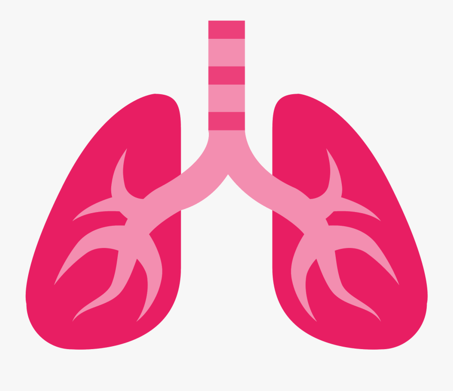 Clip Art Lungs Png - Lungs Emoji Png, Transparent Clipart