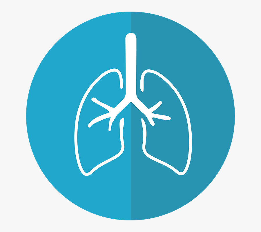 Lung Cancer Awareness Month Png, Transparent Clipart