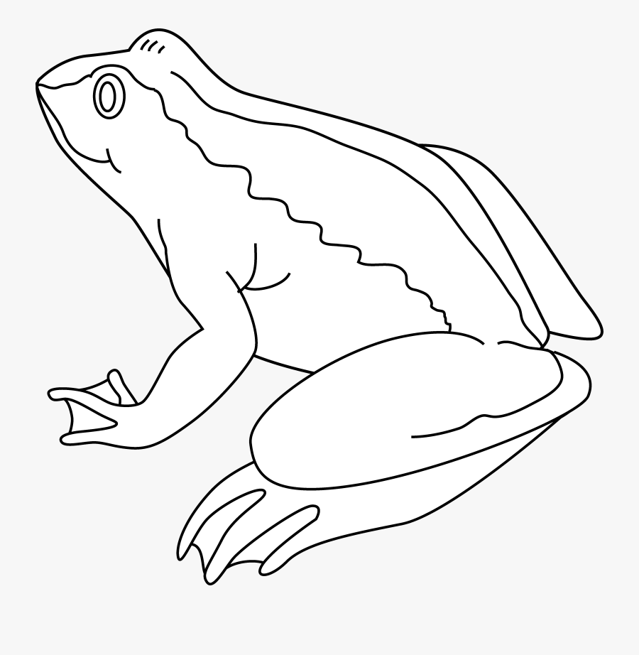 Toad, Transparent Clipart