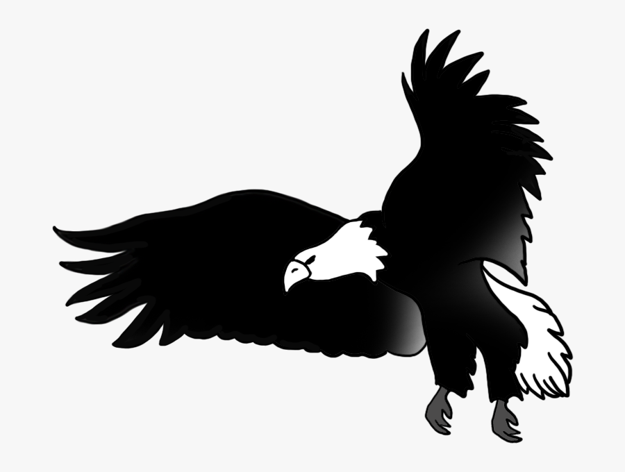 Bald Eagle Clipart Transparent Background - Eagle Flying Black And White, Transparent Clipart