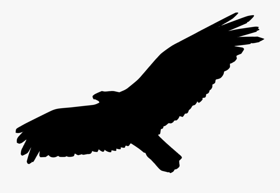 Eagle,accipitridae,sea Eagle - Golden Eagle, Transparent Clipart
