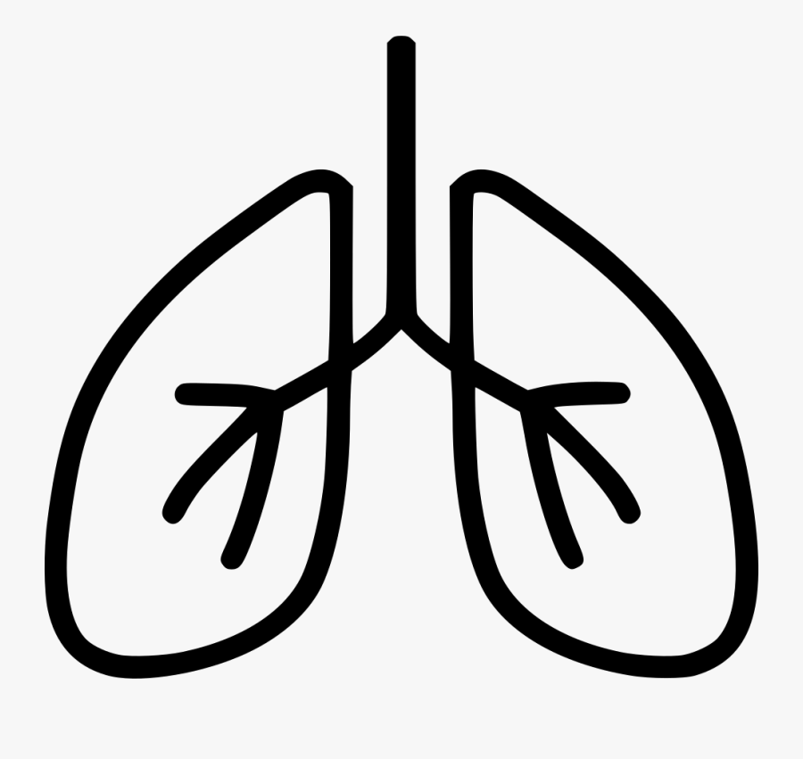 Lungs Svg Icon Free - Lungs Icon, Transparent Clipart