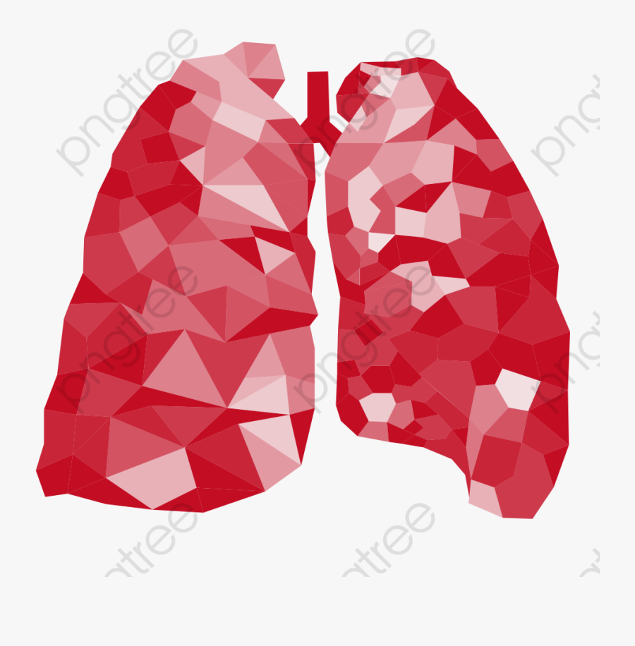 Lungs Clipart Red - Pulmoes Png, Transparent Clipart