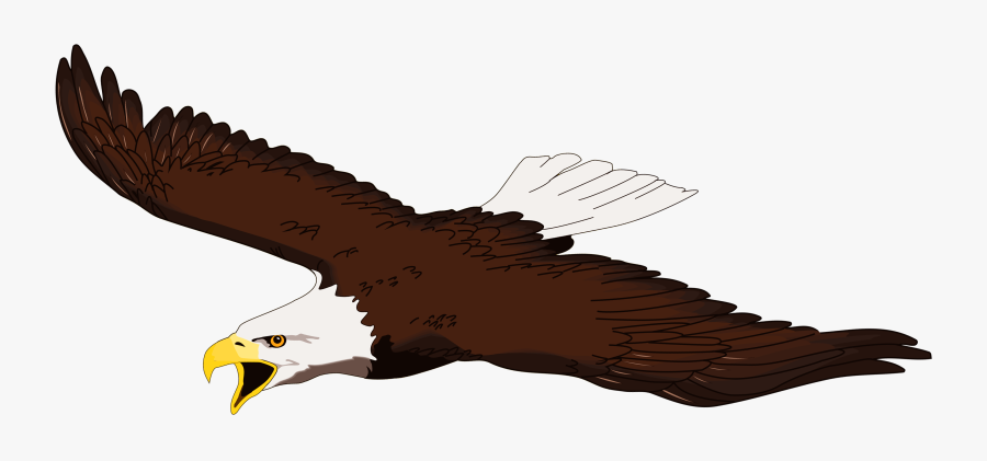 Black Eagle Vector Illustration Vector Free Download - Transparent Background Eagle Clipart Png, Transparent Clipart