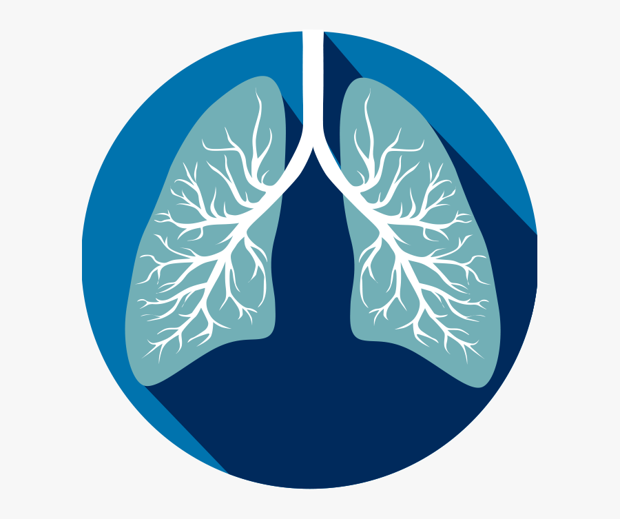 If You Are A Current Or Past Smoker Who Has A History - Human Lungs Clipart, Transparent Clipart