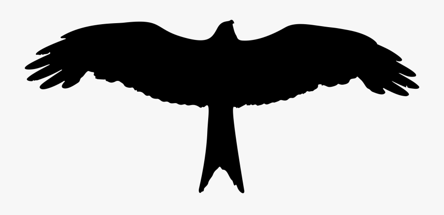 Transparent Eagle Head Clipart Black And White - Eagle Silhouette Clip Art, Transparent Clipart