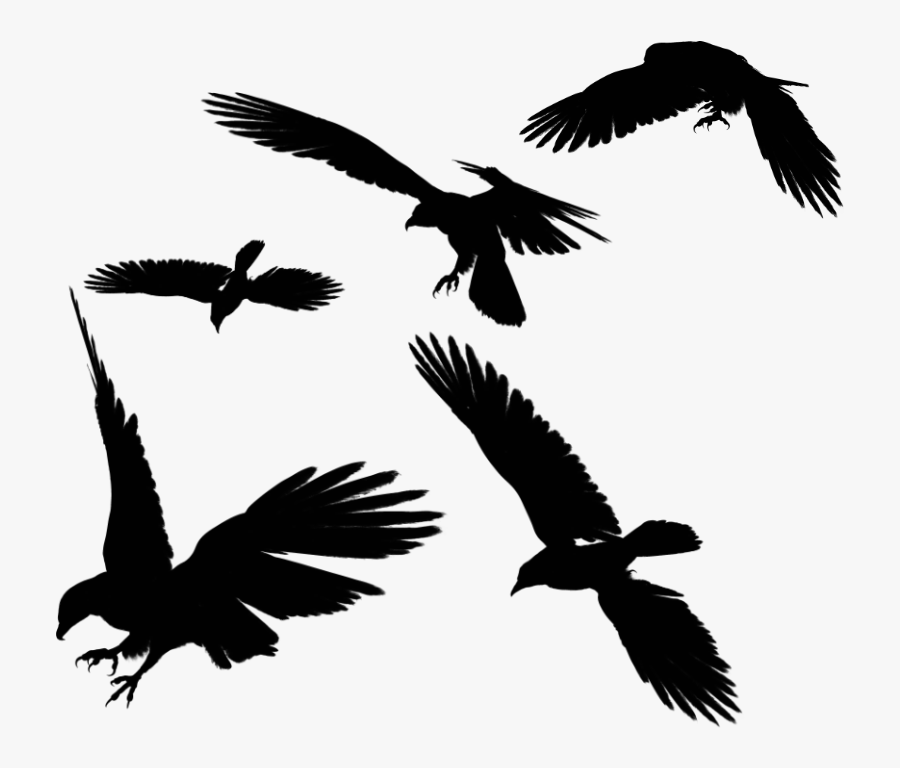 Black Eagle Clipart Benfica - Ravens Flying Png, Transparent Clipart