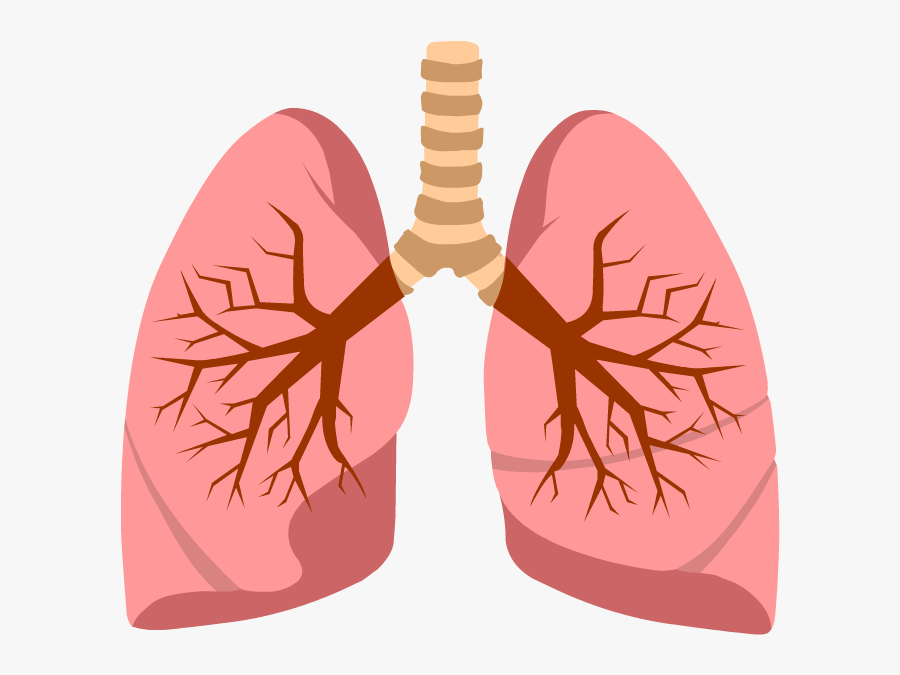 Cystic Fibrosis Icon Png, Transparent Clipart
