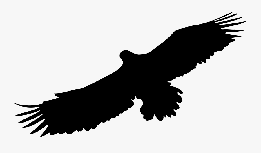 Bird Of Prey Silhouette, Transparent Clipart