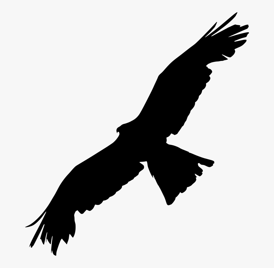 Bald Eagle Bird Of Prey Silhouette Peregrine Falcon- - Bald Eagle Silhouette Clipart, Transparent Clipart