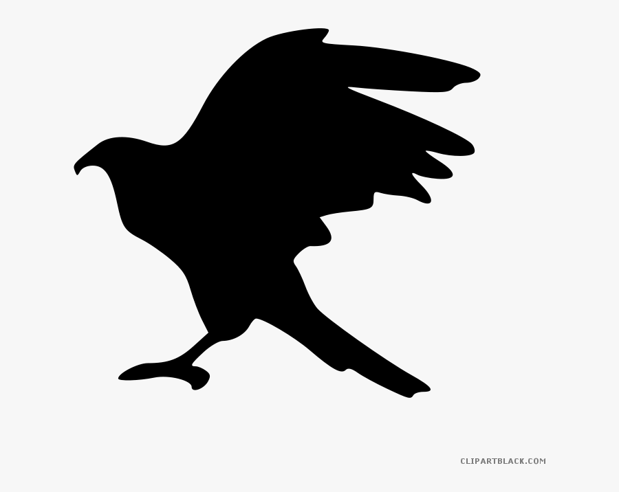 Eagle Silhouette Animal Free Black White Clipart Images - Falcon Clipart Silhouette Hd, Transparent Clipart