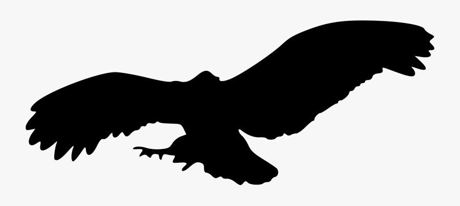 Eagle Cliparts For Free Clipart Basketball And Use - Owl Flying Silhouette Png, Transparent Clipart