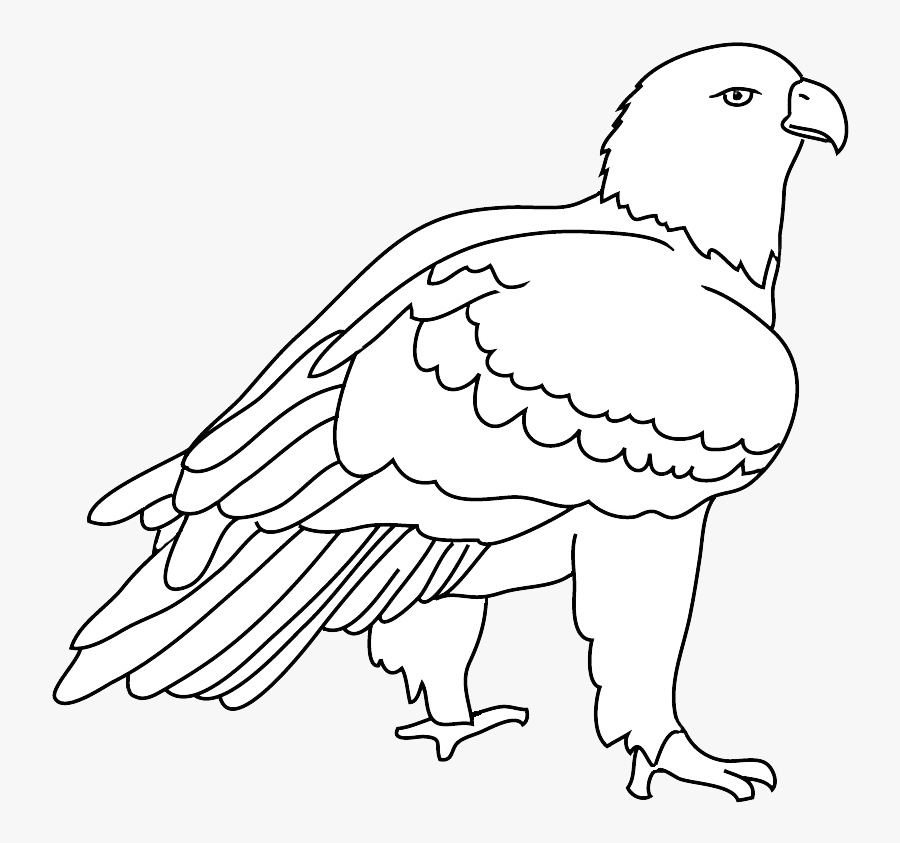 Transparent Eagle Head Clipart Black And White - Bald Eagle, Transparent Clipart