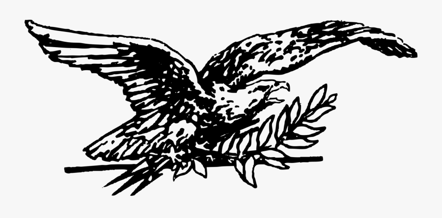 Art,monochrome Photography,beak - Hawk, Transparent Clipart