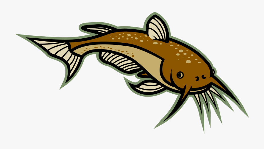 Image Of Catfish Clipart - Catfish Clip Art, Transparent Clipart
