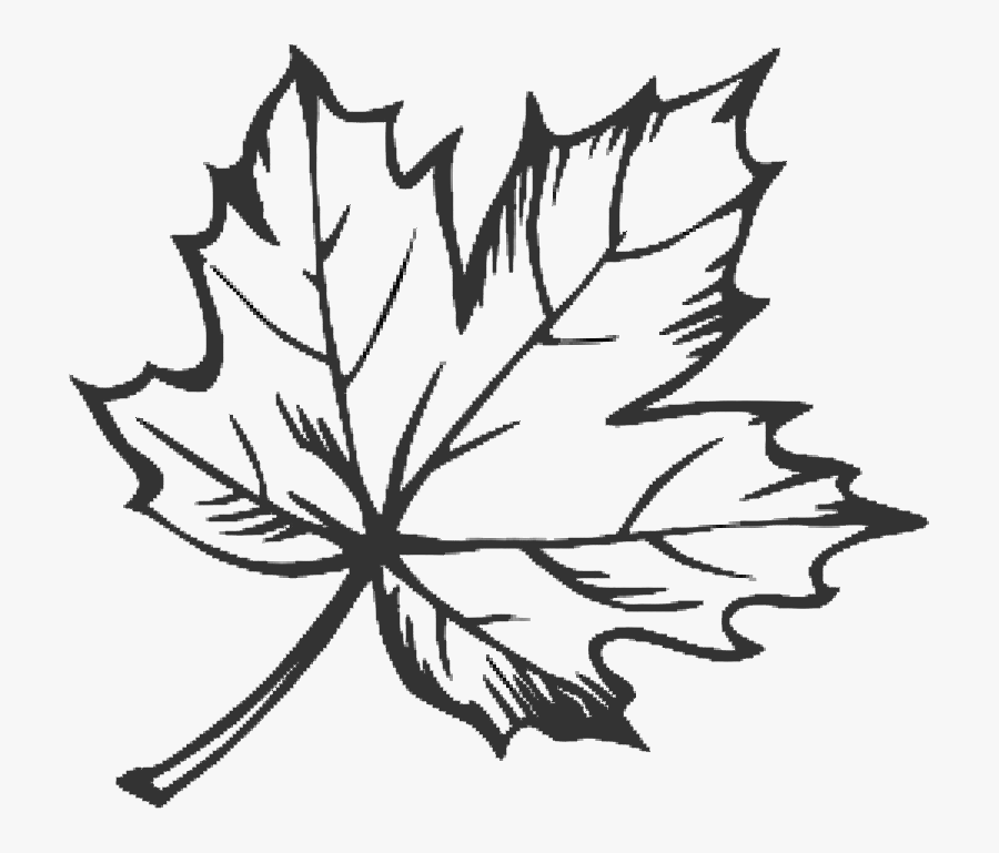 Tattoo Leaf Drawing Maple Sugar Hq Image Free Png Clipart - Line Drawing Of Leaf, Transparent Clipart