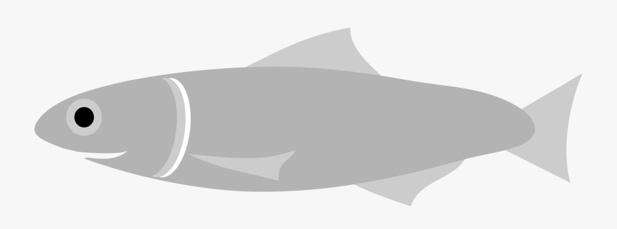 Marine Biology,fish,vertebrate - Anchovy Clip Art, Transparent Clipart