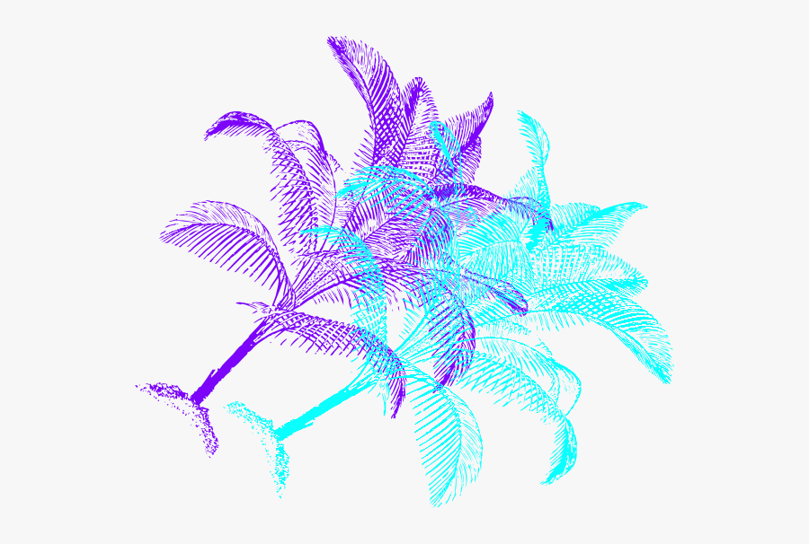 Sugar Palm Svg Clip Arts - Palm Vector, Transparent Clipart