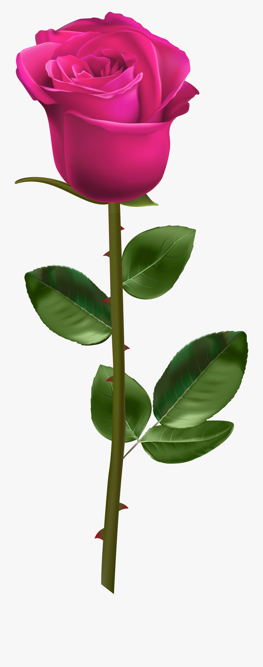 White Rose With Stem Clipart , Png Download - Blue Rose With Thorns, Transparent Clipart