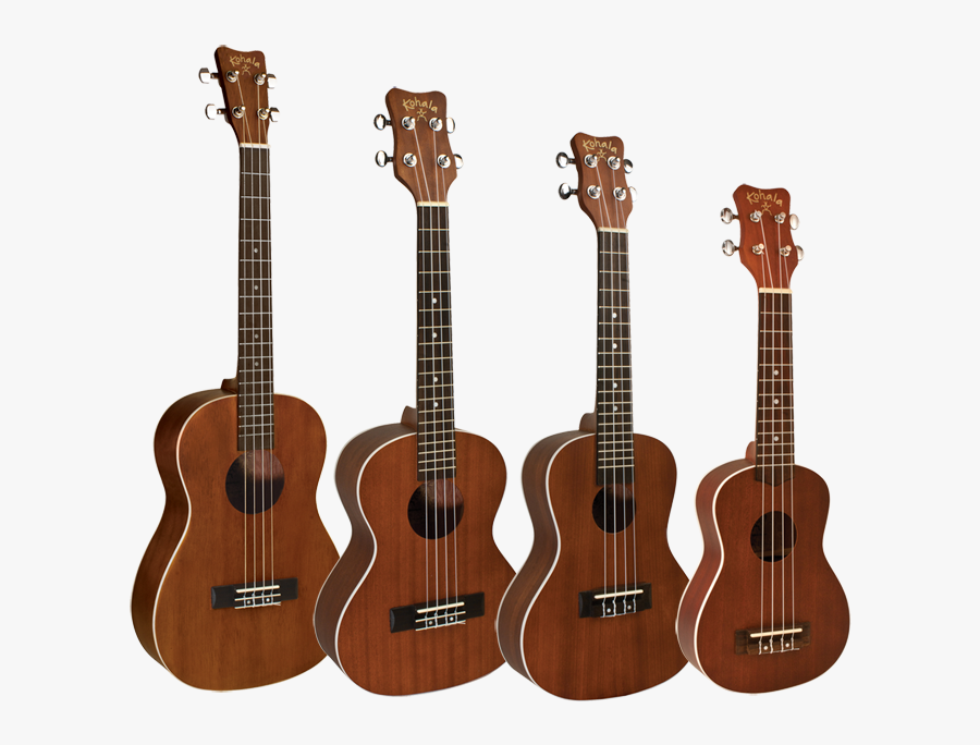 Clipart Library Stock Jolly Harbour Band Song - Givson Guitar Price In Bangladesh, Transparent Clipart