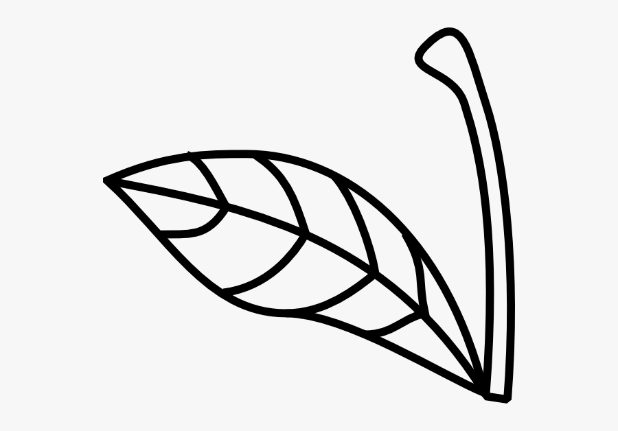 Apple Stem And Leaf Clipart, Transparent Clipart