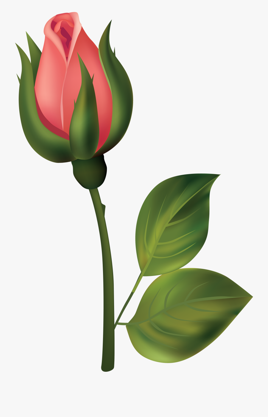 Stem Red Rose Bud Png Clipart - Flower Buds Png, Transparent Clipart