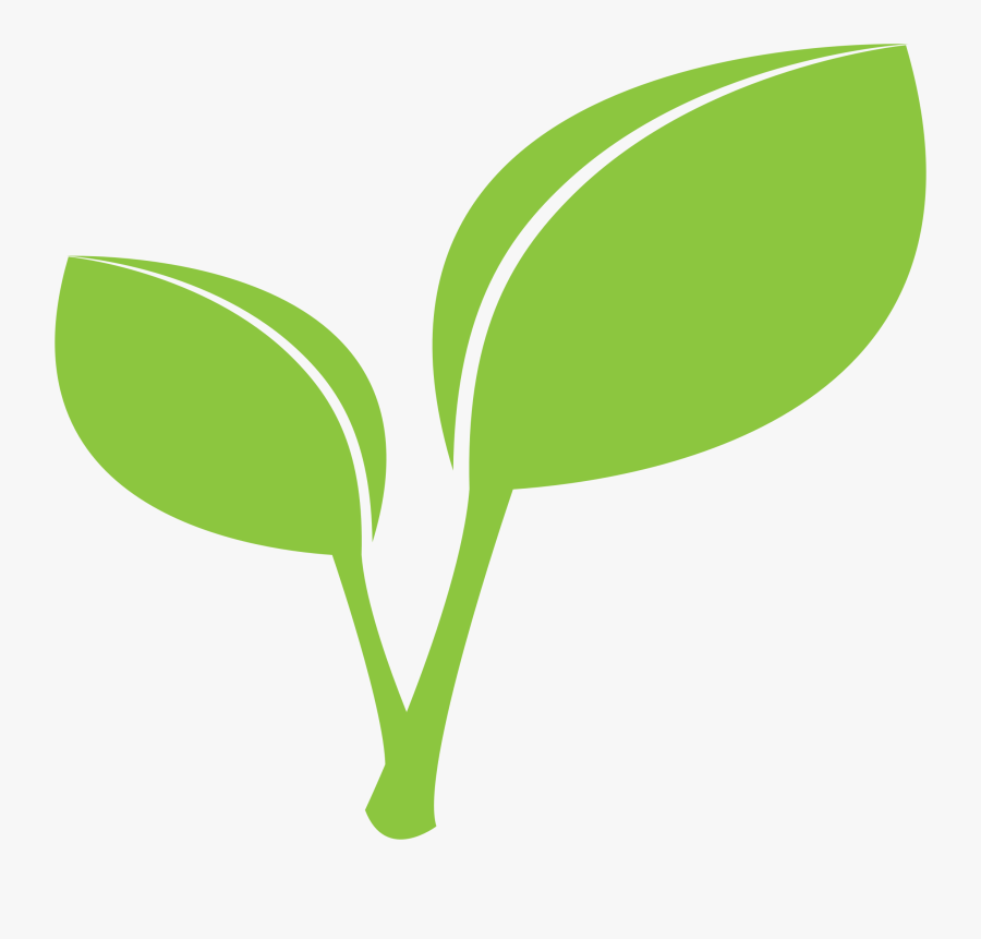 Thumb Image - Plant Leaf Clipart, Transparent Clipart