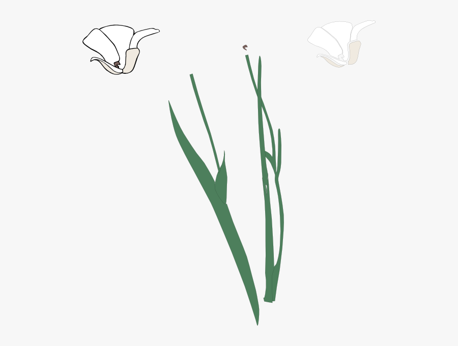 Plant Stem, Transparent Clipart