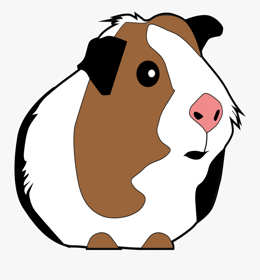 Guinea Clipart Cute - Guinea Pig Vector Png, Transparent Clipart