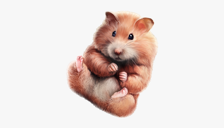 Portable Network Graphics, Transparent Clipart