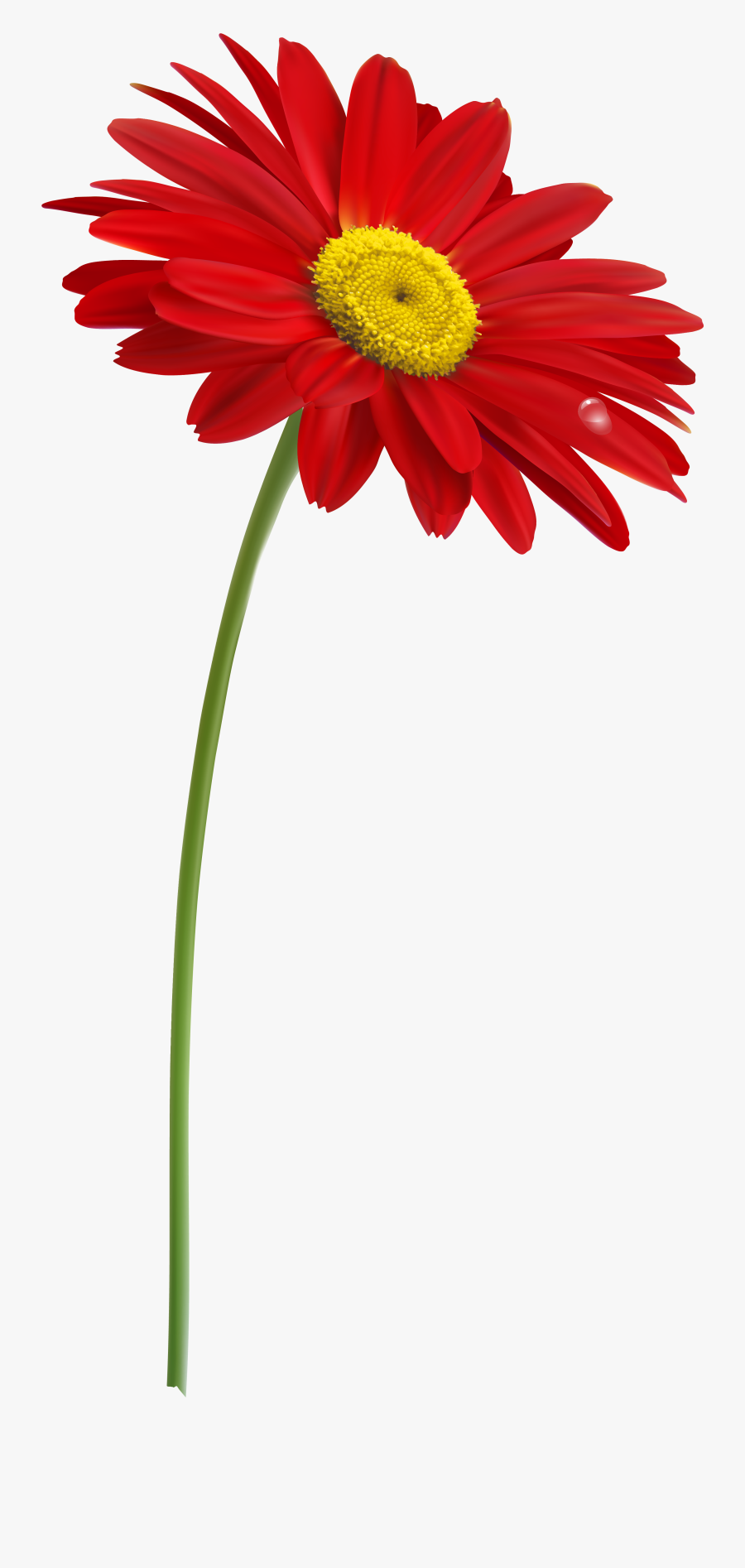 Stem Flower Clip Art With Transparent Background - Single Flower Transparent Background, Transparent Clipart