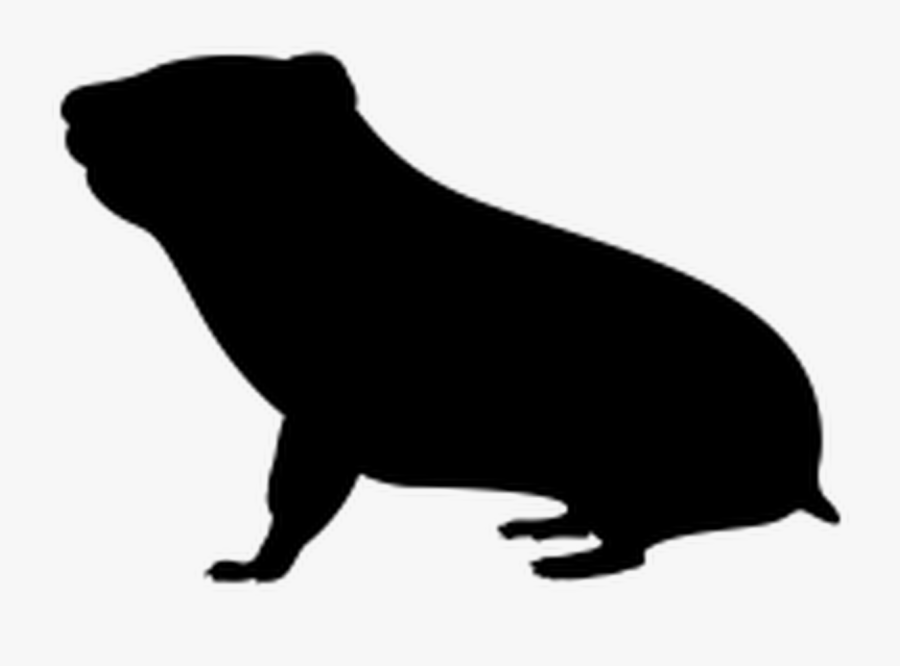 Transparent Hamster Black And White Clipart - Marine Mammal, Transparent Clipart