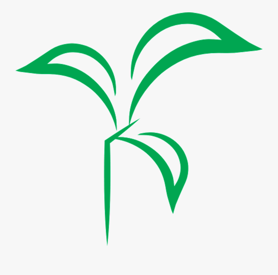 Leaf Line Angle Plant Stem Clip Art, Transparent Clipart