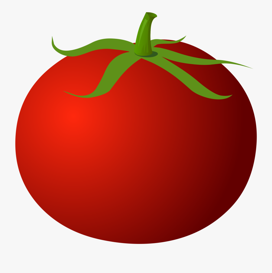 Clipart Food Tomato - Tomato Clipart, Transparent Clipart