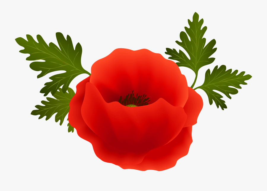 Clip Art Png Image Gallery Yopriceville - Transparent Background Poppy Png, Transparent Clipart