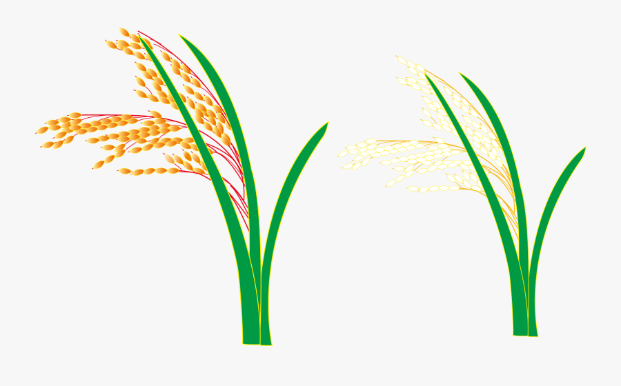Logo Grasses Leaf Plant Stem Font, Transparent Clipart