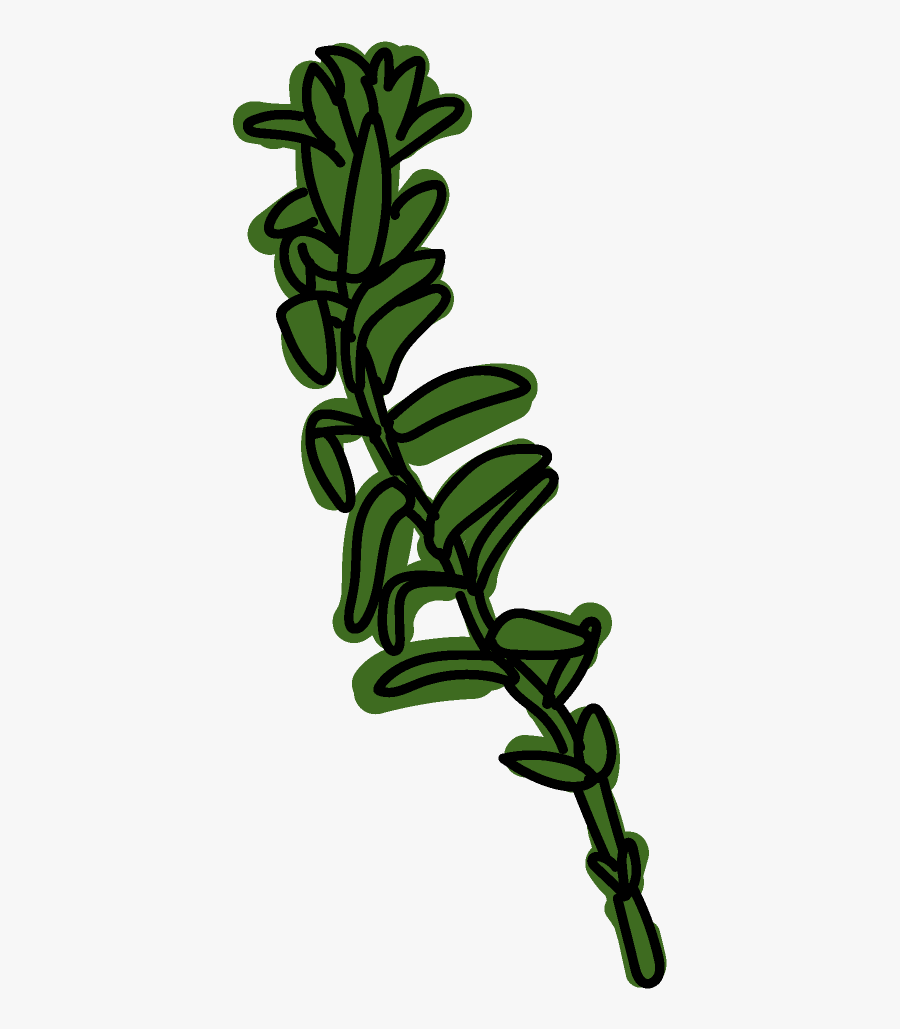 Clip Art, Transparent Clipart