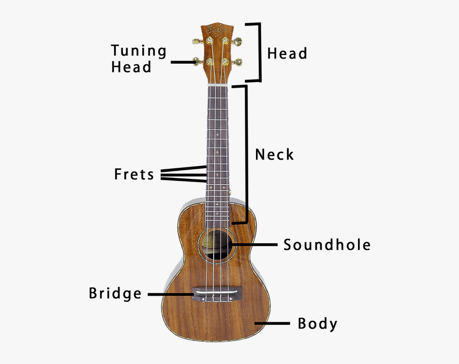 Different Parts Of A Ukulele - Guitar Parts Clip Art, Transparent Clipart