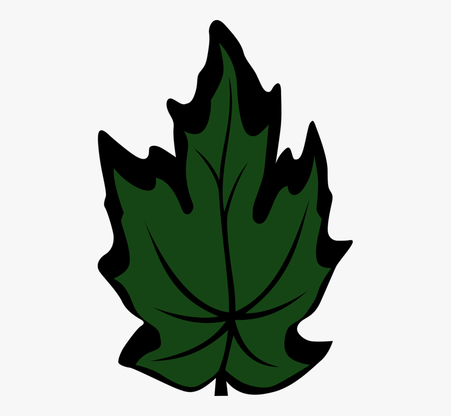 Plant,flower,leaf - Maple, Transparent Clipart