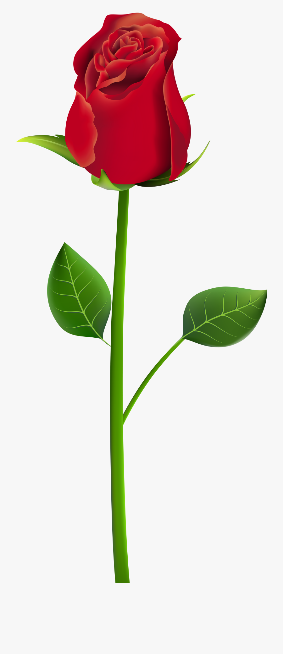 Clip Art Long Stemmed Rose Clipart - Desenhos De Rosas Vermelhas, Transparent Clipart