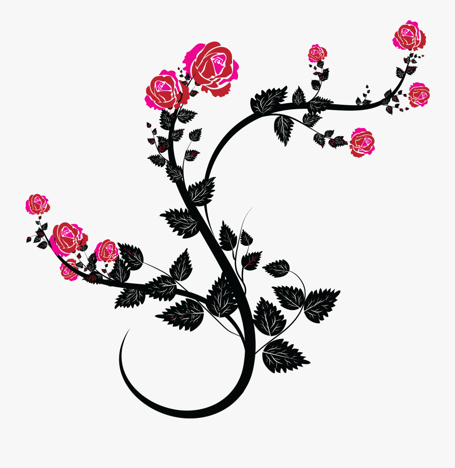 Rose Vine Drawing Clip Art Black And Pink Roses Clipart