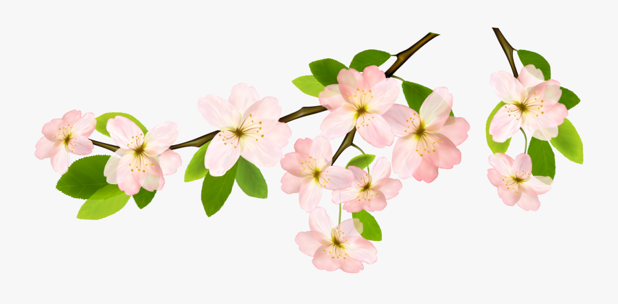Magnolia Clipart Garland, Transparent Clipart