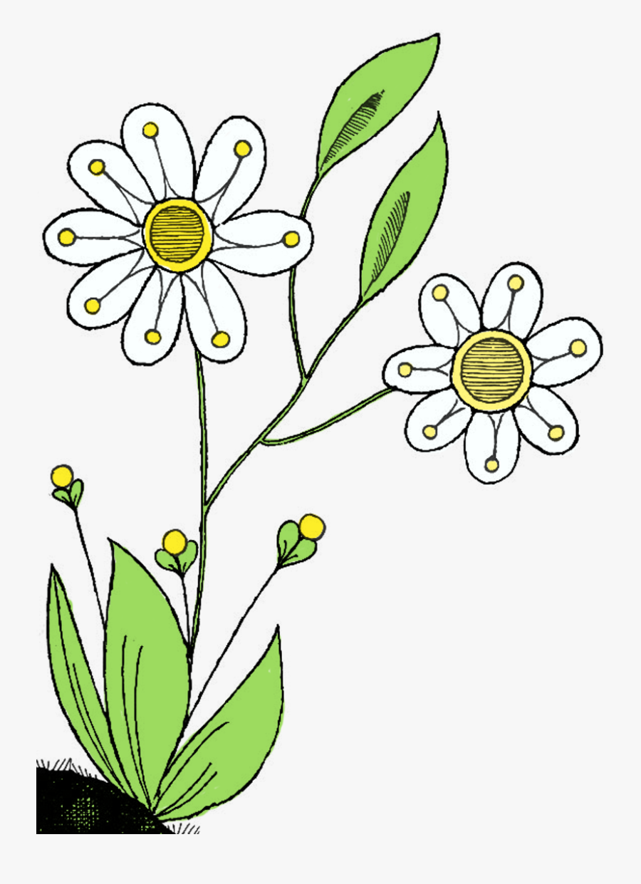 Birthday Flowers Clipart - Sunflower, Transparent Clipart
