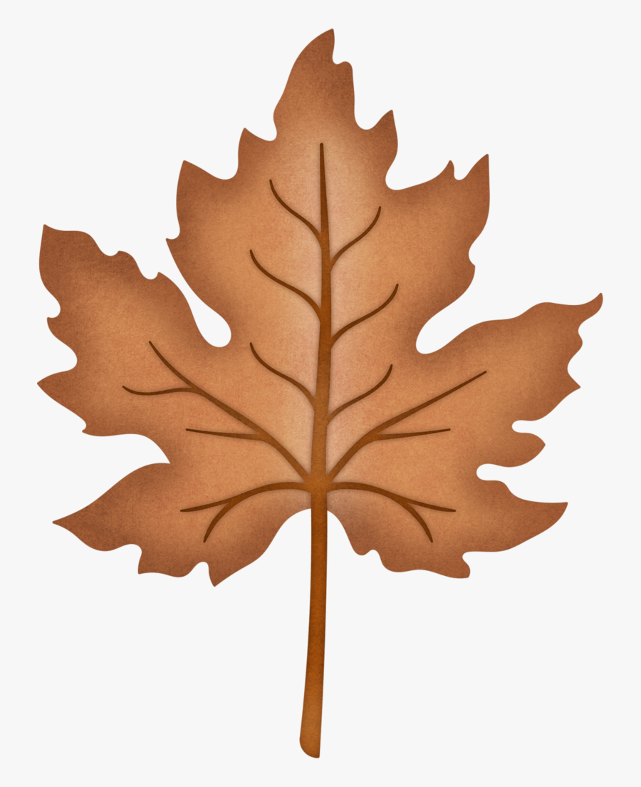 Maple Leaf, Transparent Clipart