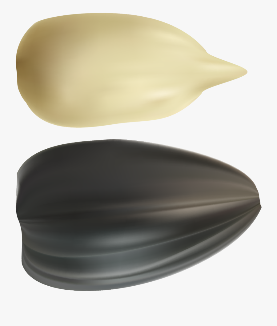 Sunflower Seeds Png Clipart - Transparent Background Sunflower Seed Png, Transparent Clipart